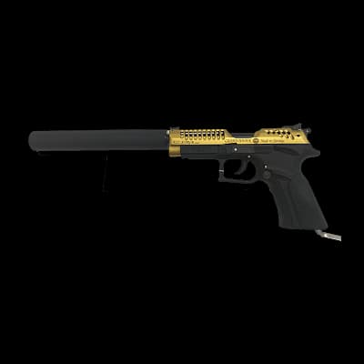 K22  X-Trim 22LR Long Barrel Pistol Gold